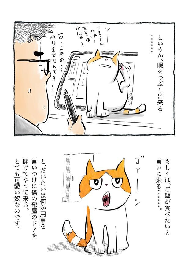 kotatsu094_03