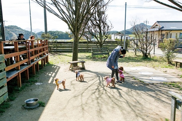 時間無制限で遊べるドッグラン