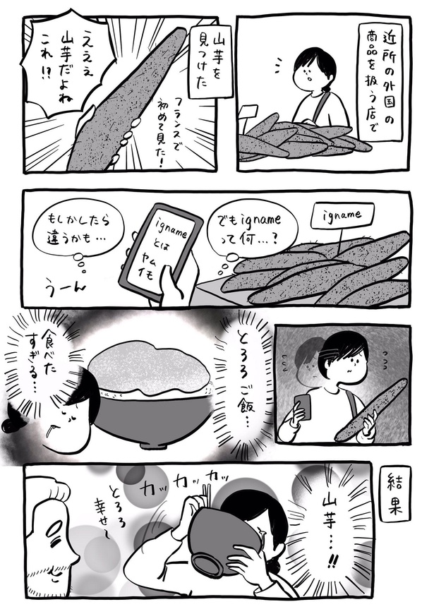 とろろご飯(1/2)