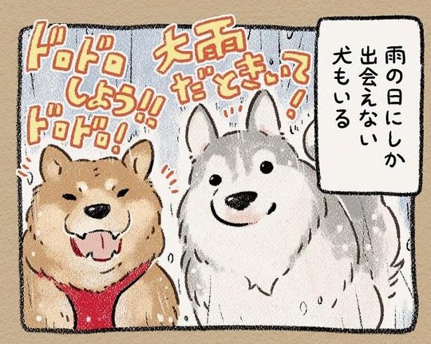 晴れでも雨でも途切れないにぎやかな夏のドッグラン