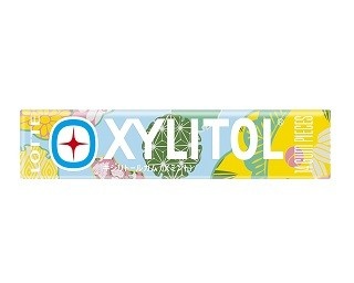 世界にひとつだけ！「キシリトールガム＜Xミント＞」