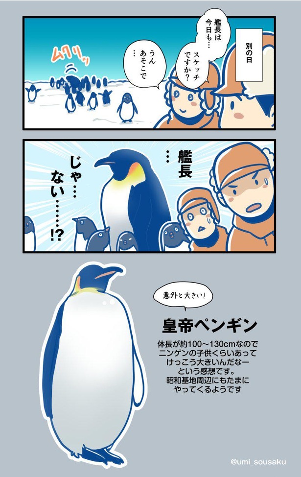 「ふじ」艦長がペンギンのスケッチをすると…(2/2)