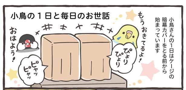 「小鳥の1日と毎日のお世話」1/18