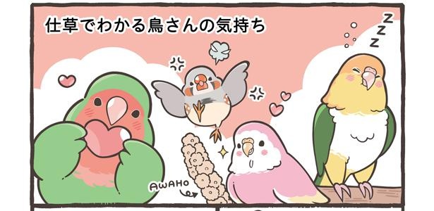 「仕草でわかる鳥さんの気持ち」1/18