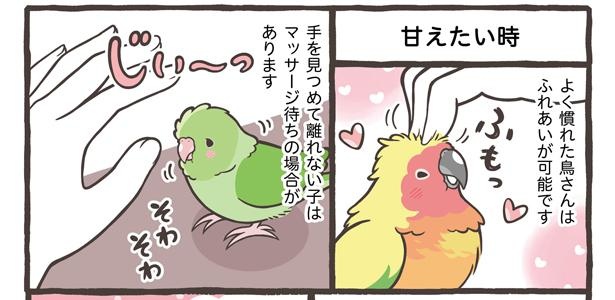 「仕草でわかる鳥さんの気持ち」16/18 