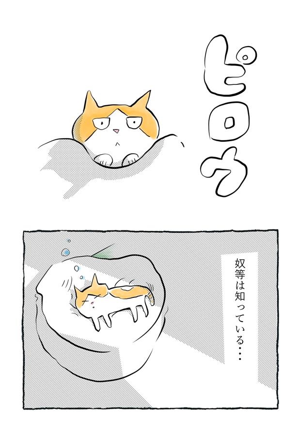 猫まっしぐら】「一生もの」と言われて買った枕を猫が強奪！しかし