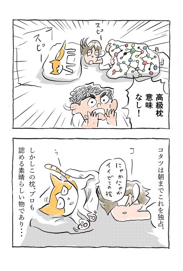 kotatsu091_12