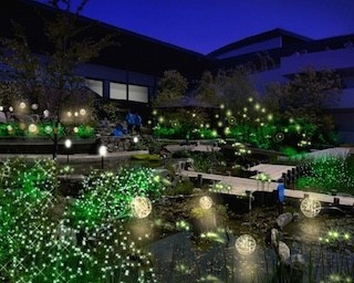 期間限定！初夏の風物詩”ホタル”の光を満喫できる新スポット登場！