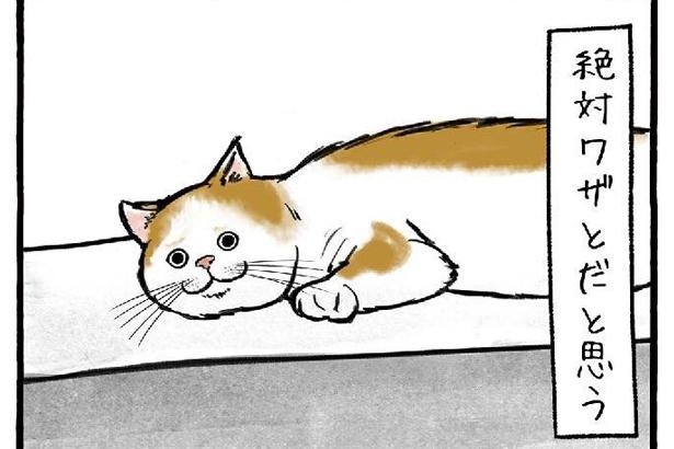 画像1 31 コンクリートに猫の足跡 絶対わざとだ 大阪の工務店が描くほのぼの日常漫画が話題 ウォーカープラス