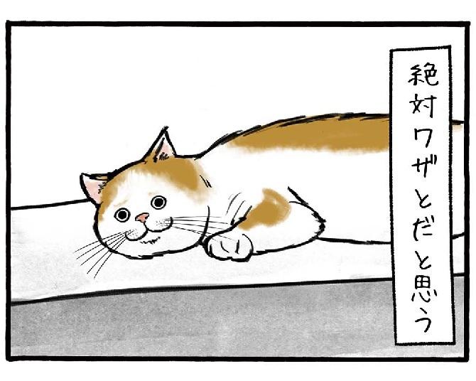 コンクリートに猫の足跡。絶対わざとだ...！大阪の工務店が描くほのぼの日常漫画が話題