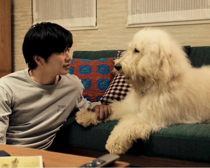 田中圭出演、犬と人との絆を描いた感動作『ハウ』 動物好きが思わず共感してしまう見どころとは？