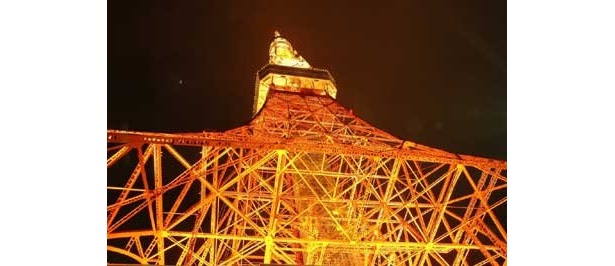 ほら、東京タワーはもうすぐそこ！