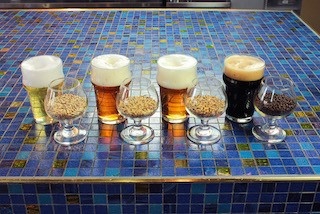 クラフトビールの世界を五感で体験！大人の醸造所見学ツアー