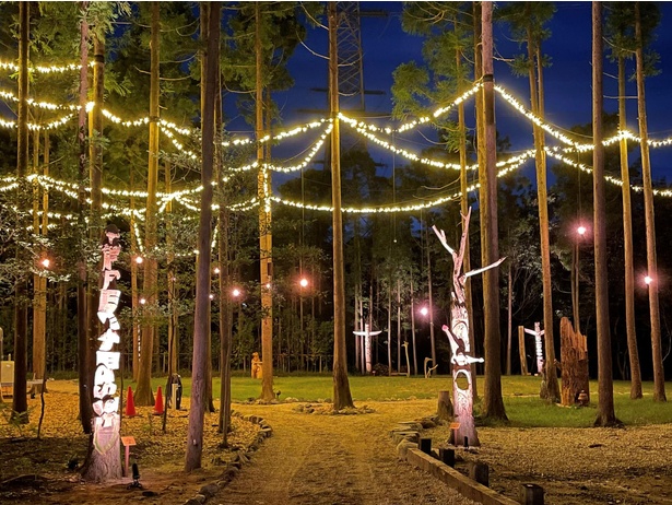 LEDライトで装飾された森。夜の散策も楽しい
