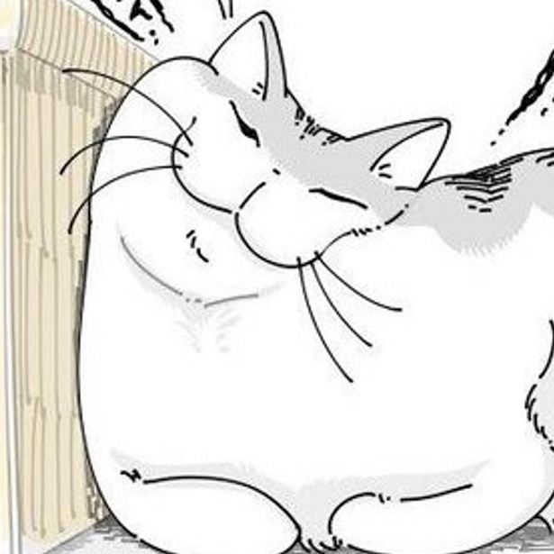 箱に挟まれ苦しそうな寝相のキュルガ