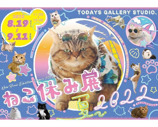 会場内は“猫まみれ”!?累計100万⼈以上動員した「ねこ休み展」夏の本祭が過去最⼤規模で開催