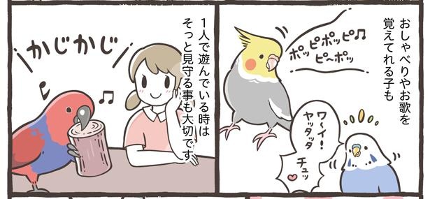 「コミュニケーションの大切さと遊び方」20/21