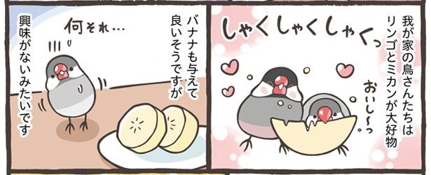 「ごはんの与え方について」14/18