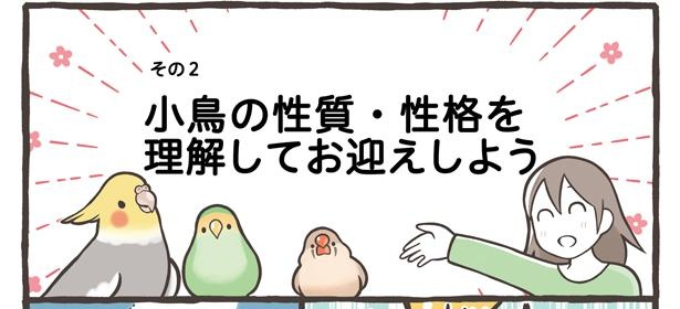 「小鳥をお迎えする前に知っておきたいこと」10/18