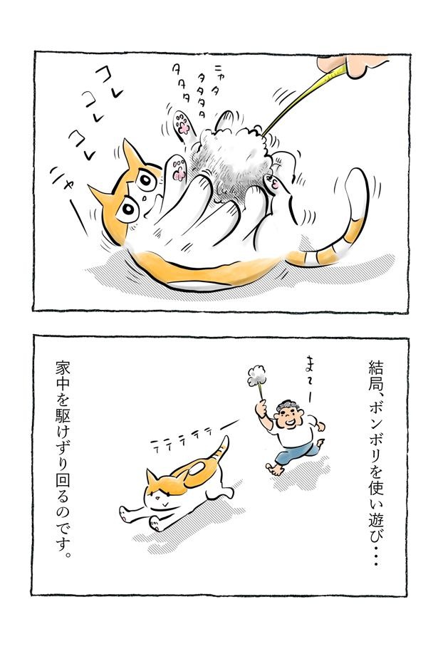 kotatsu092_15