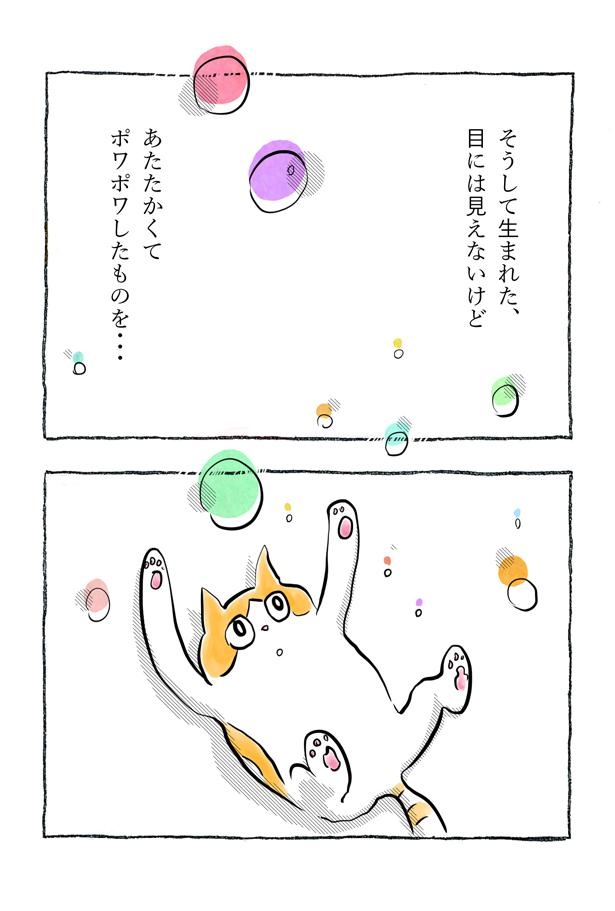 kotatsu092_17