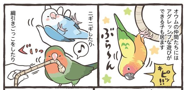「コミュニケーションの大切さと遊び方」19/21