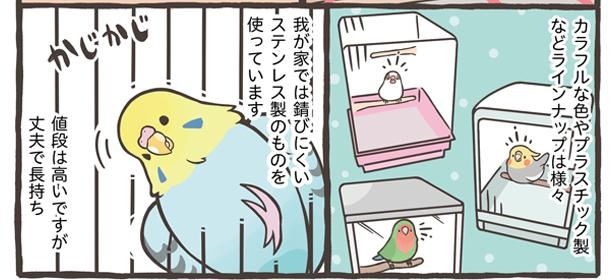 鳥さんのお迎えが決まったら、ケージや止まり木などの飼育グッズを準備しよう