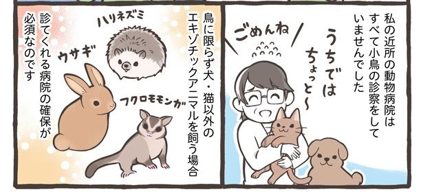 「小鳥をお迎えする前に知っておきたいこと」6/18