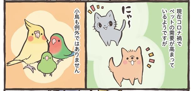 「トリ扱い説明書」11/15