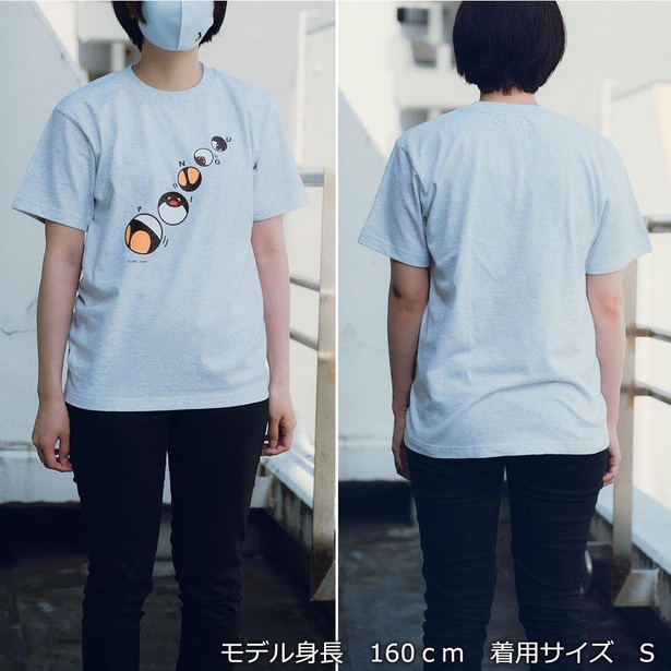 サイズ感はこんなかんじ