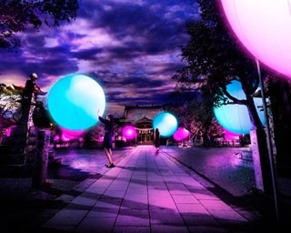 自然×デジタルの幻想的空間！長崎・大村公園が光のアートに包まれる