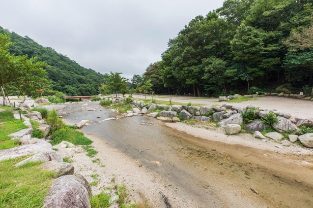 【写真】栃谷川に面した44～49番サイトは、段差を上手く活用し、川面ギリギリにサイトを整備