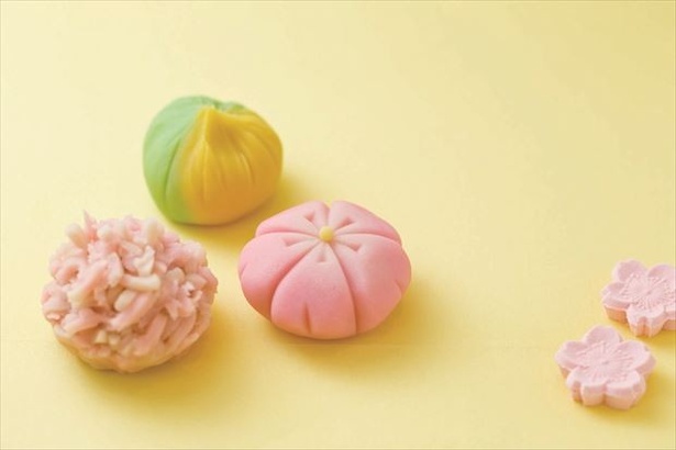 創業210余年の京都和菓子店で 上生菓子作り を体験 ウォーカープラス