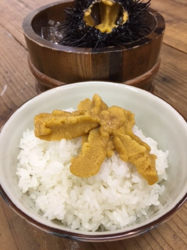 【写真を見る】白米に「北紫雲丹」を乗せた「ウニ丼」