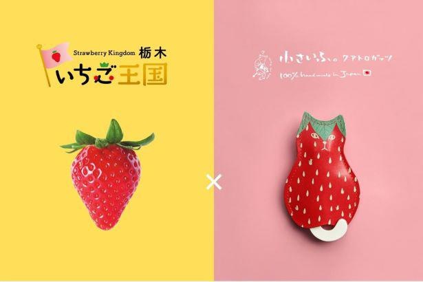 いちごの種が猫になってる!?