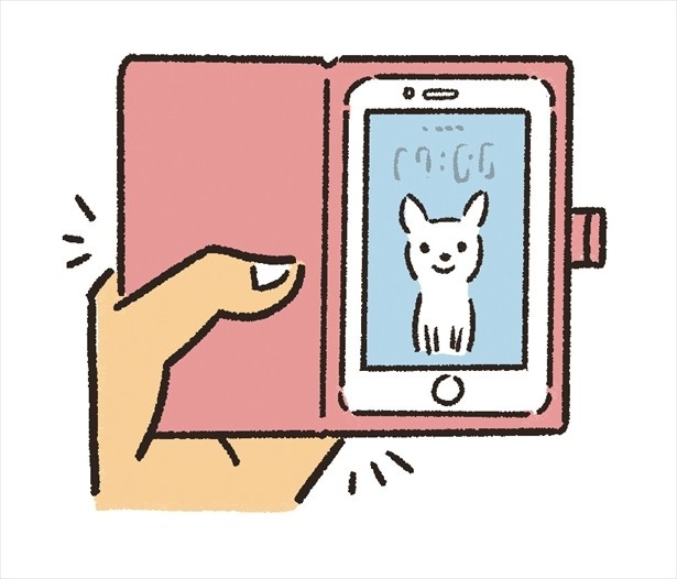 プロが教えます 犬 猫をスマホでかわいく撮影しよう ウォーカープラス