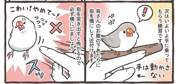 「コミュニケーションの大切さと遊び方」6/21