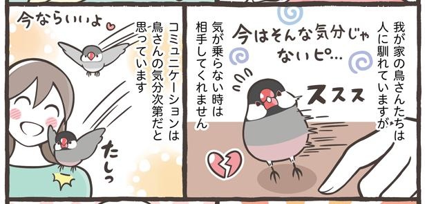 「コミュニケーションの大切さと遊び方」8/21