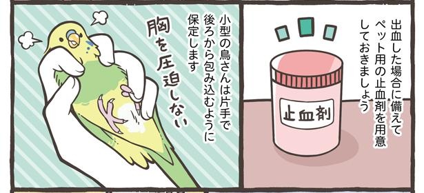 「小鳥の1日と毎日のお世話」14/18