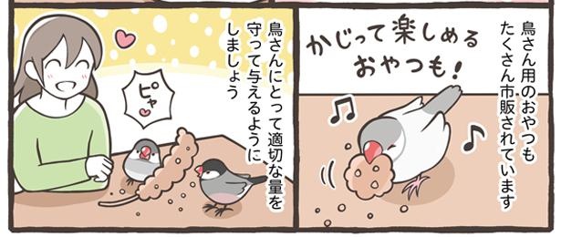 「ごはんの与え方について」15/18