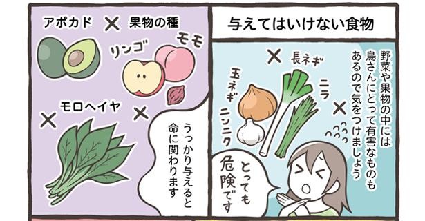 「ごはんの与え方について」16/18