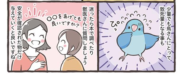 「ごはんの与え方について」18/18