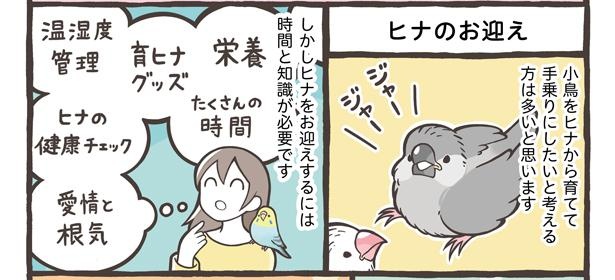 「鳥さんをお迎えするタイミング」2/15