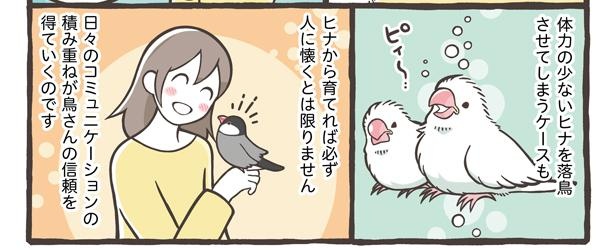 「鳥さんをお迎えするタイミング」3/15
