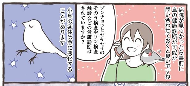 「小鳥をお迎えする前に知っておきたいこと」7/18