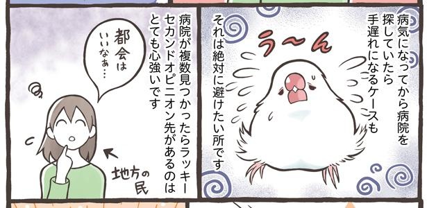 「小鳥をお迎えする前に知っておきたいこと」8/18