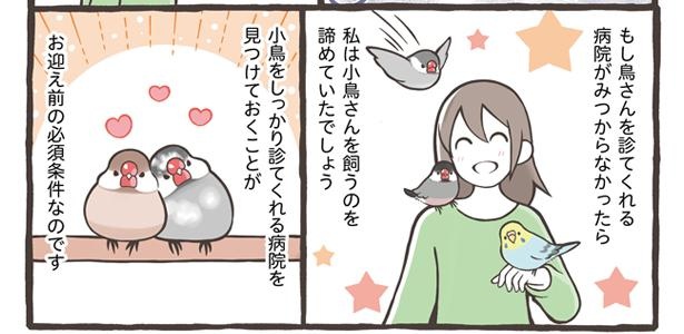 「小鳥をお迎えする前に知っておきたいこと」9/18