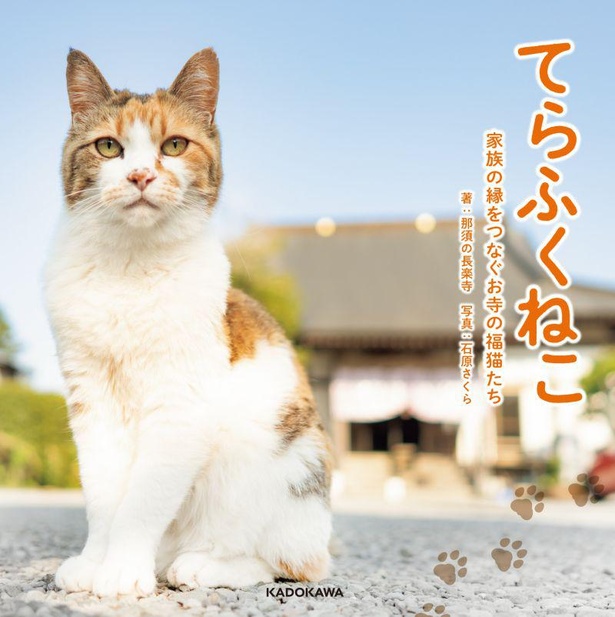 SNSで大人気「那須の長楽寺」の猫写真集第2弾が登場／「てらふくねこ　 家族の縁をつなぐお寺の福猫たち」