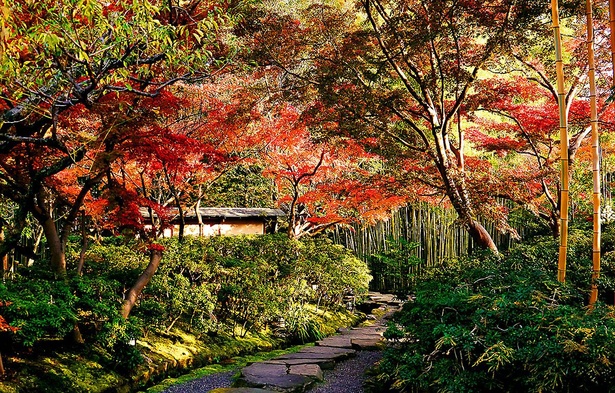 【写真】八幡市 松花堂庭園・美術館の紅葉