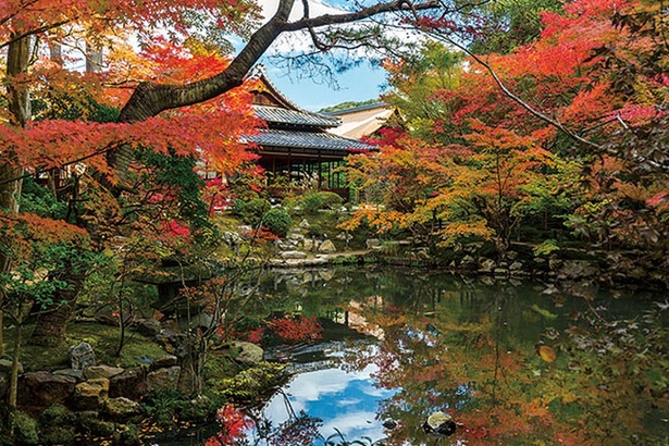 美しく紅葉する歴史ある庭園／天授庵(南禅寺塔頭)